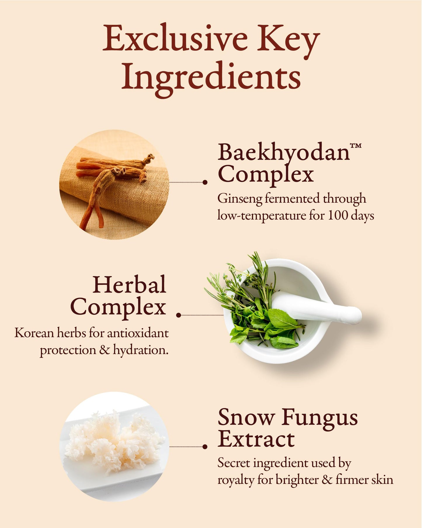 Sooryehan Hyobidam Fermented Eye Cream (0.84 fl oz) - Korean Skincare, Luxury Premium High-end Cream, Intensive Skin Care
